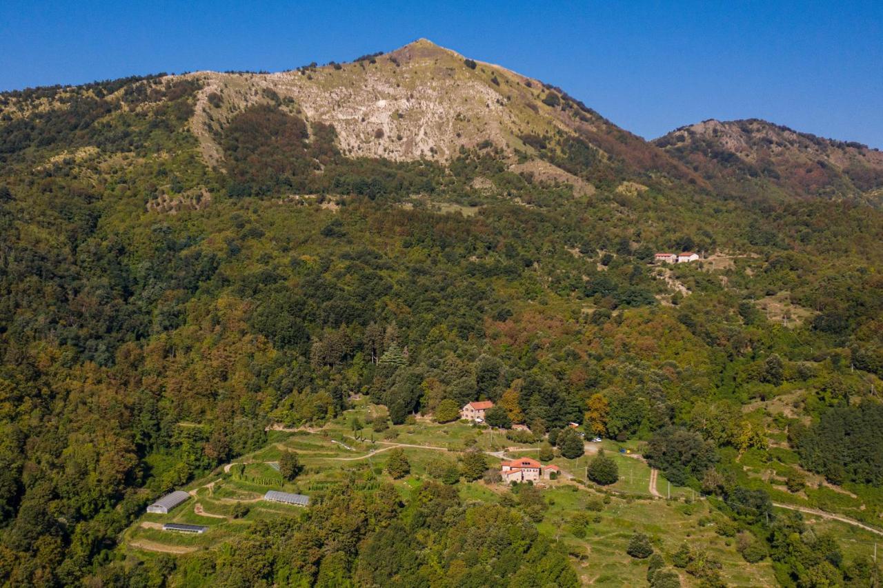 Villa Agriturismo Giandriale à Tavarone Extérieur photo